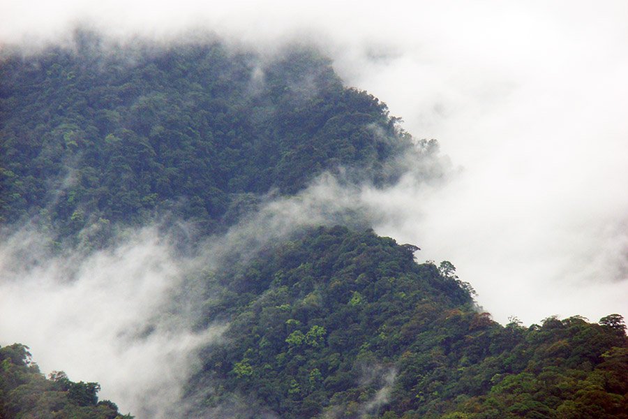 Costa Rica cloud forest