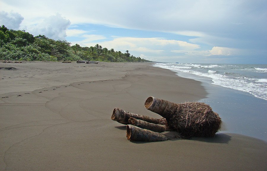 Tortuguero Beach