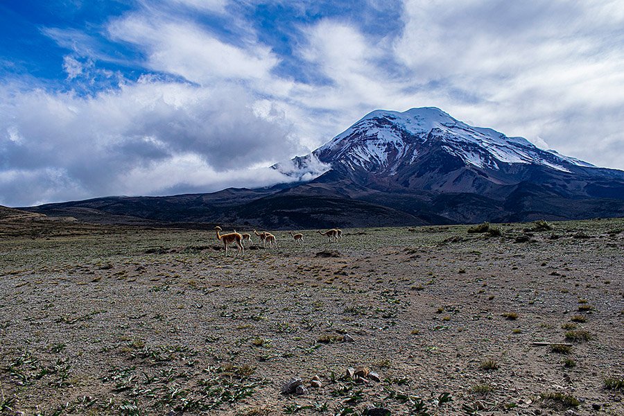 Chimborazo