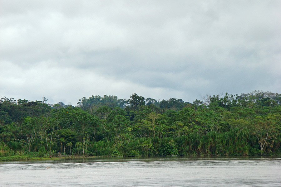 Ecuador Amazon Rio Napo