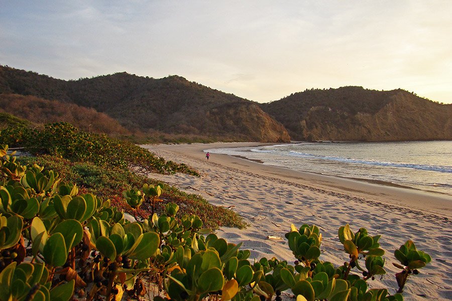 Ecuador Coast