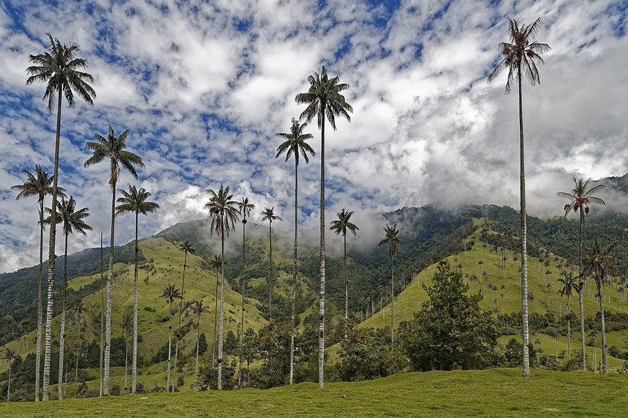 Safest South American Countries - Colombia