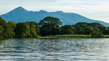 Are there sharks in Lake Nicaragua?