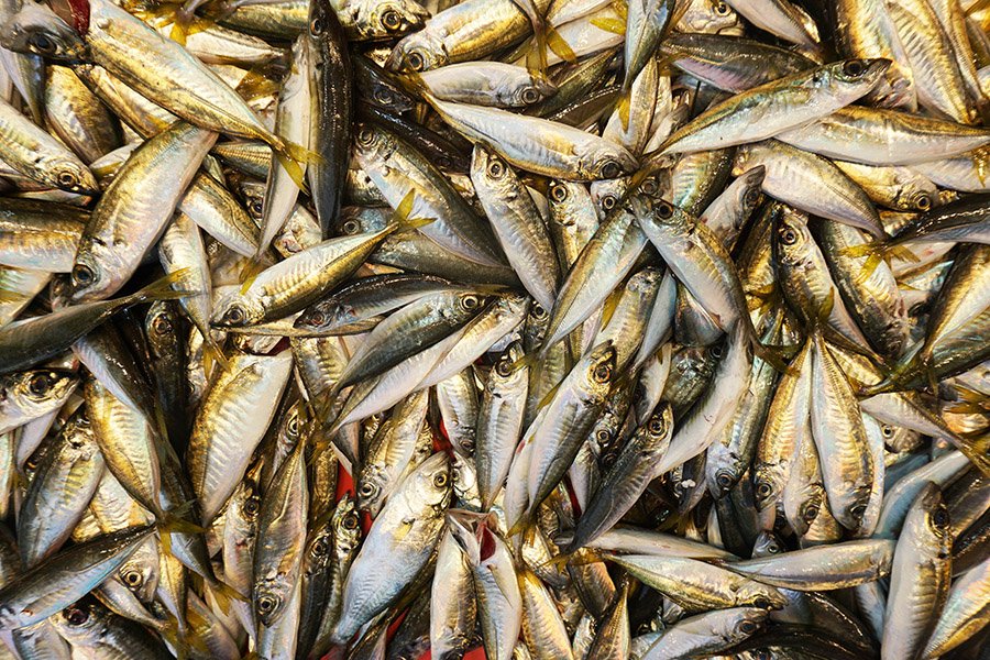 Anchovies at a market