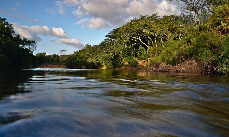 Belize Nature