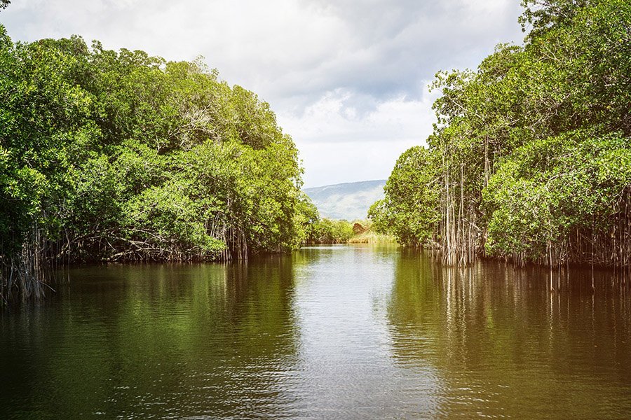 Black River, Jamaica