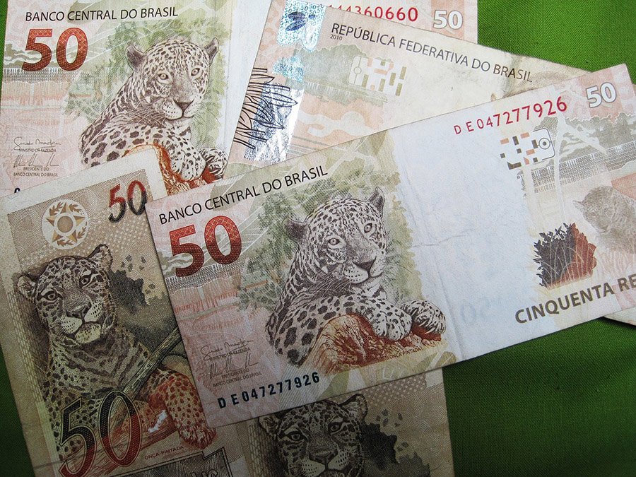 Brazil Jaguar bank note