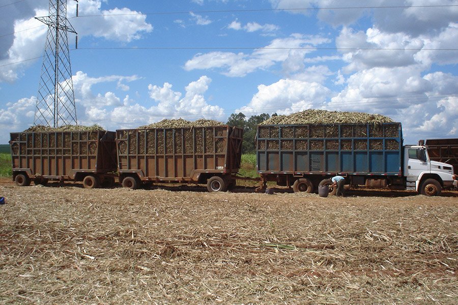 Brazil Sugarcane