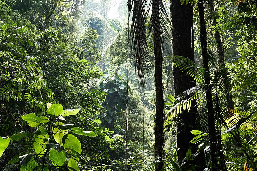 Costa Rica biodiversity