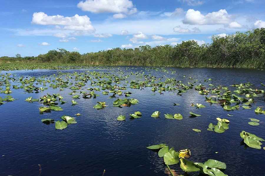 Everglades National Park, Florida