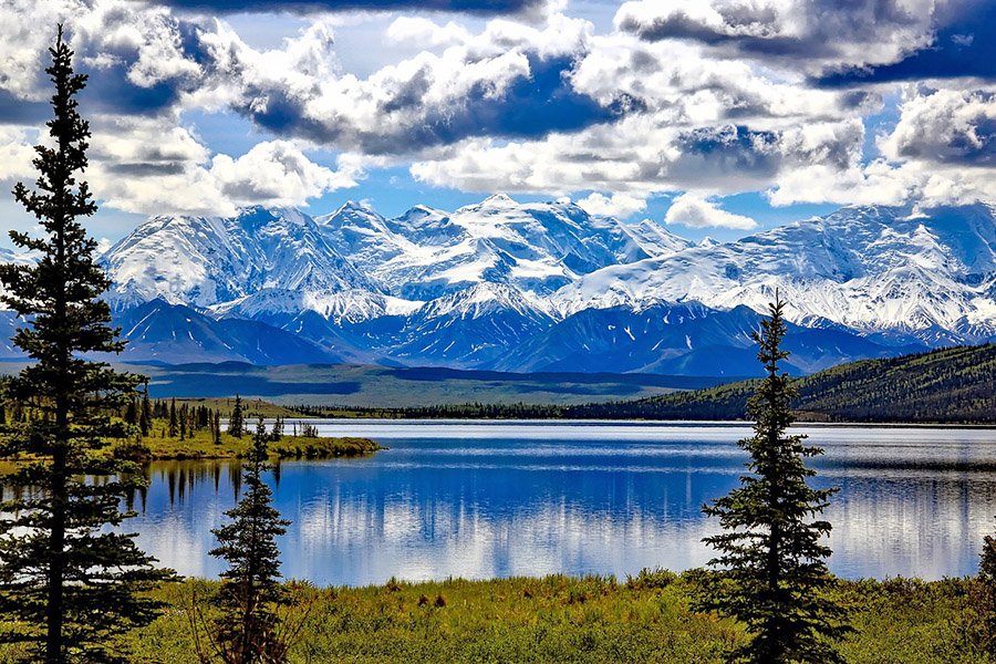 Denali National Park