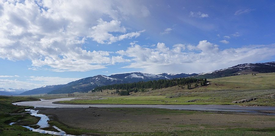 Lamar Valley in Yellowstone National Park, Wyoming