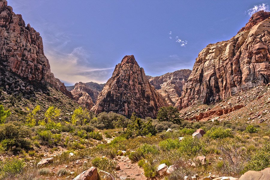 Nevada landscape