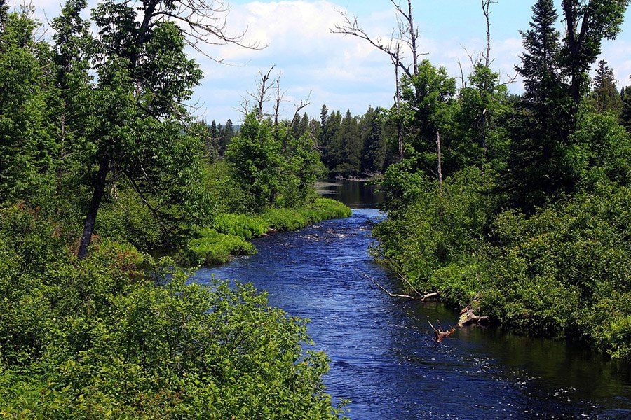 Superior National Forest in Minnesota