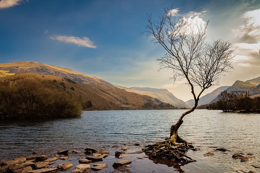 Snowdonia